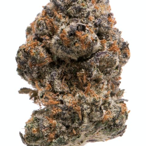 Cherry Bomb growlog timeline photo