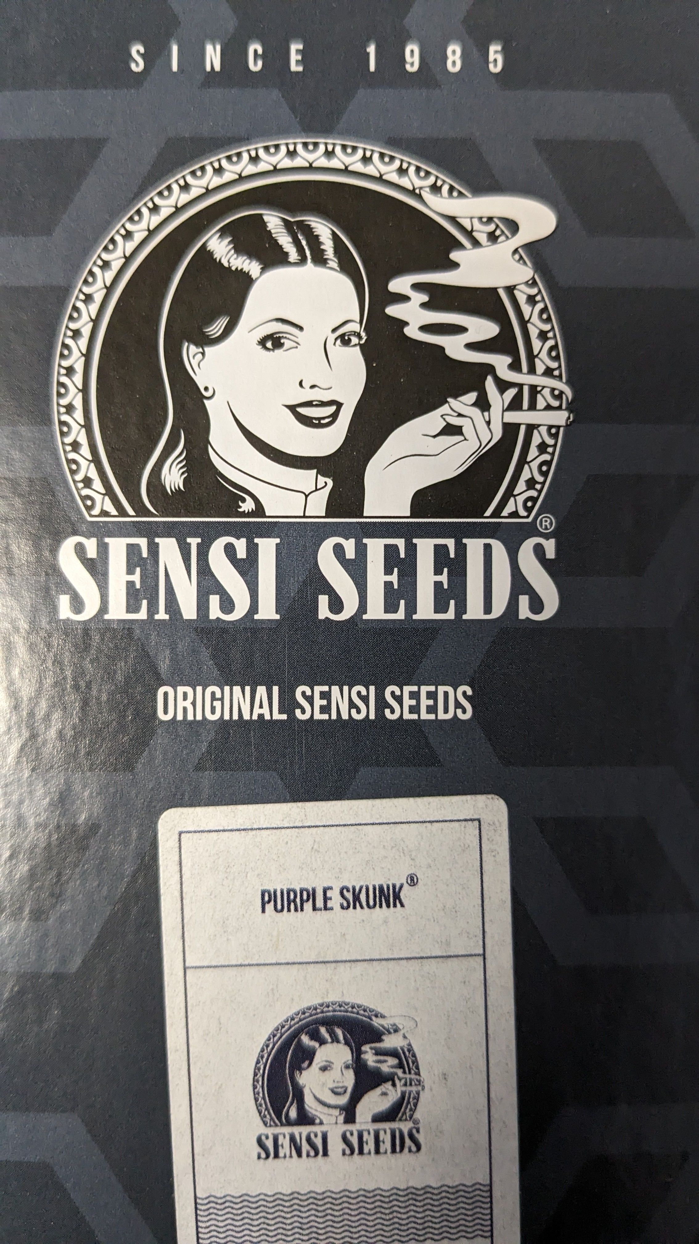 #32 Purple Skunk growlog header