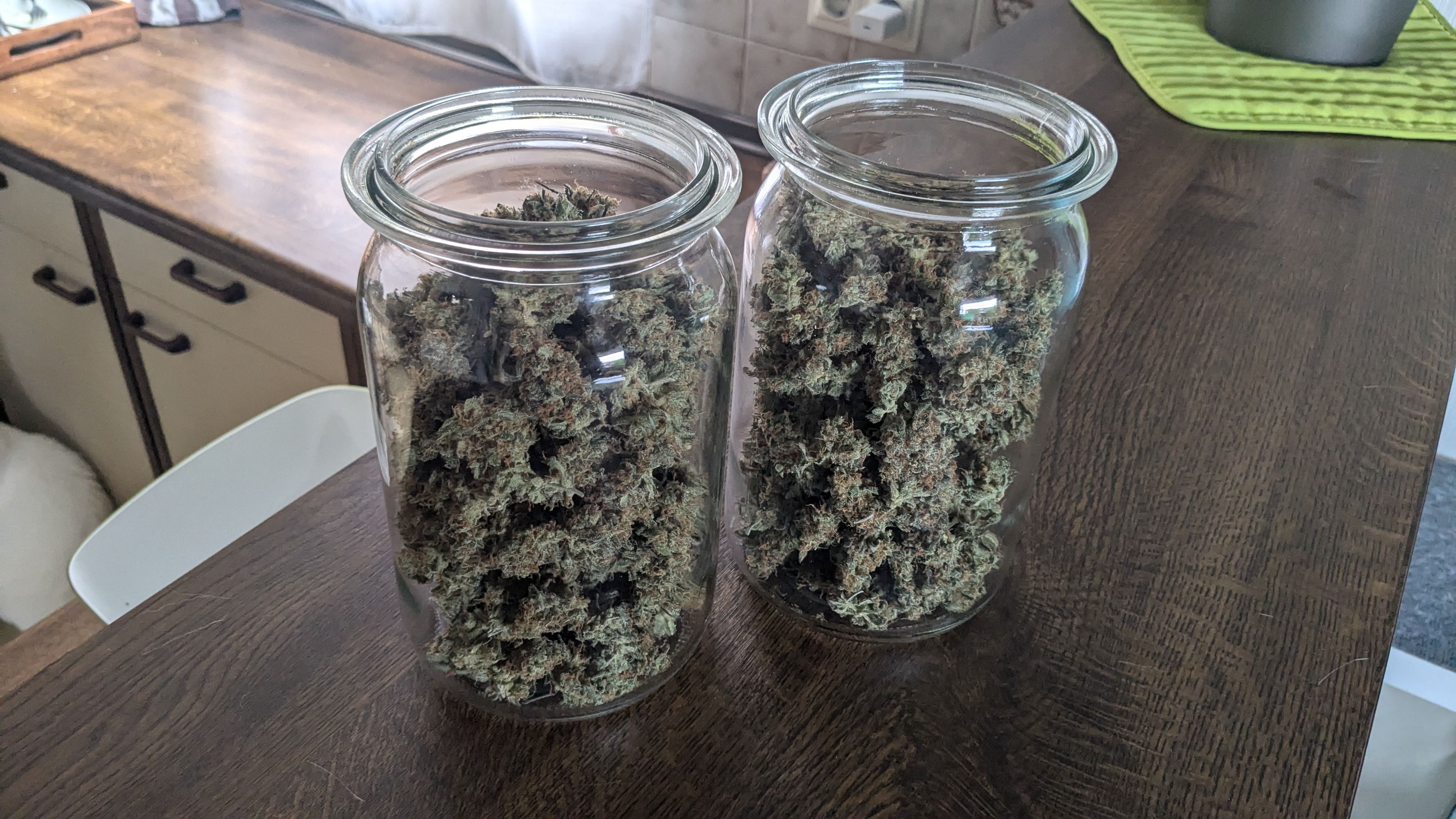 #33 Purple Skunk growlog photo 148