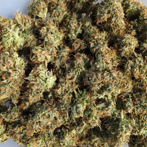 #26 Double Kush Cake growlog timeline photo