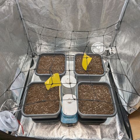 #48 AK47 growlog photo