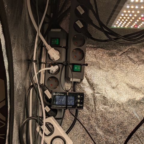 #48 AK47 growlog photo