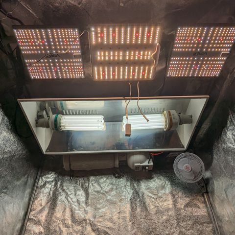 #48 AK47 growlog timeline photo