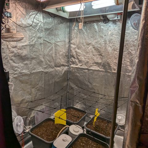 #48 AK47 growlog timeline photo