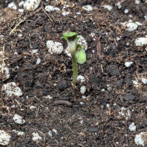 #48 AK47 growlog timeline photo