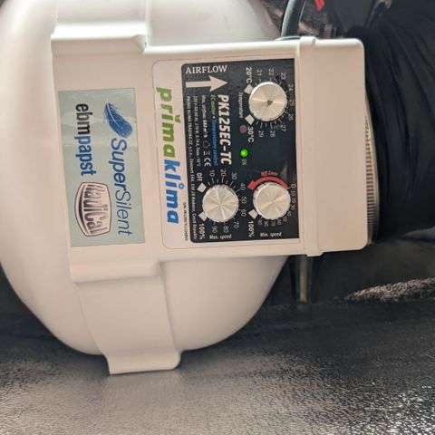 #48 AK47 growlog photo: Veggie Settings Abluf
MAX 50% Leistung
MIN 10% Leistung
Trmperatur 31°C