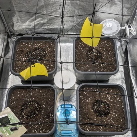 #48 AK47 growlog timeline photo