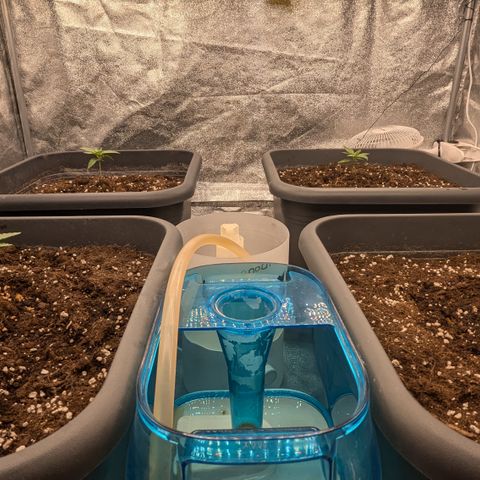 #48 AK47 growlog timeline photo