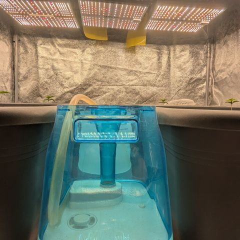 #48 AK47 growlog timeline photo