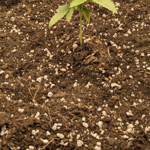 #48 AK47 growlog timeline photo