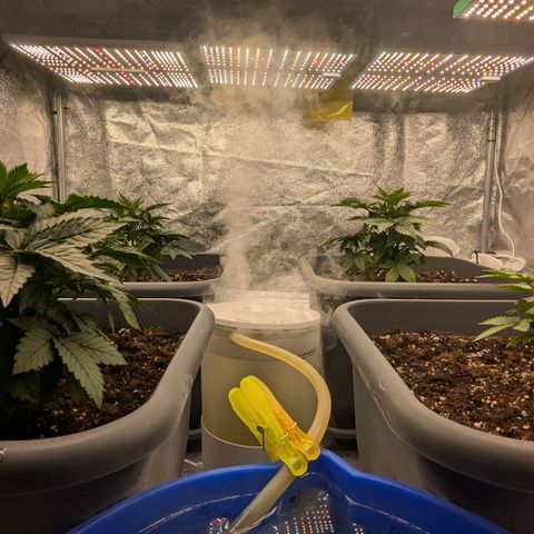 #48 AK47 growlog timeline photo