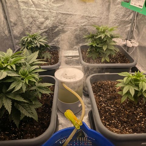 #48 AK47 growlog timeline photo