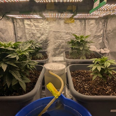 #48 AK47 growlog timeline photo