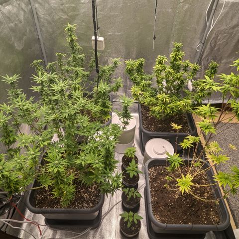 #48 AK47 growlog timeline photo