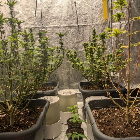 #48 AK47 growlog timeline photo