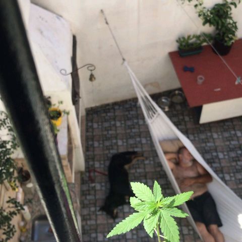 Jazmin growlog photo: Primeros pasos