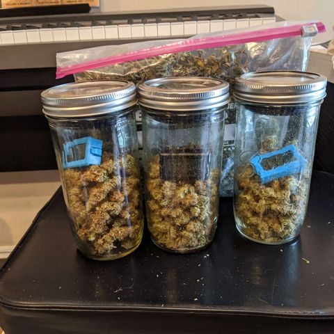 White Widow growlog timeline photo
