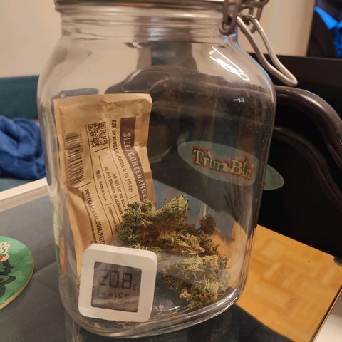 Mimosa growlog timeline photo