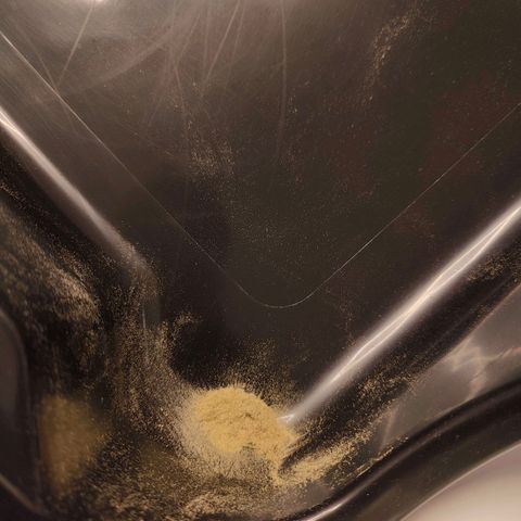 Mimosa growlog timeline photo
