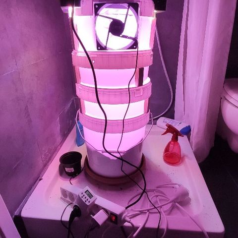 Sabzi growlog timeline photo