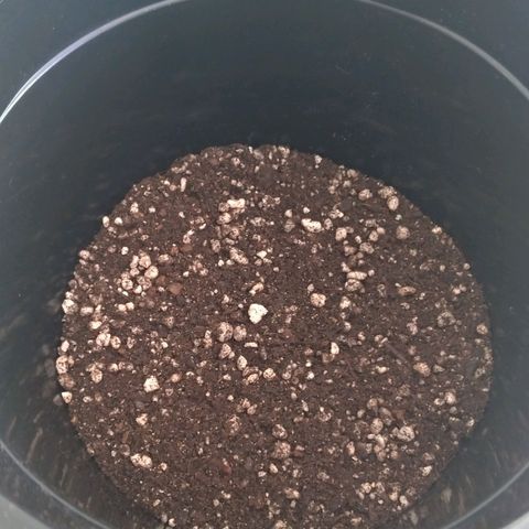 Bolt⚡ growlog photo: 09:25 fotos 32-35