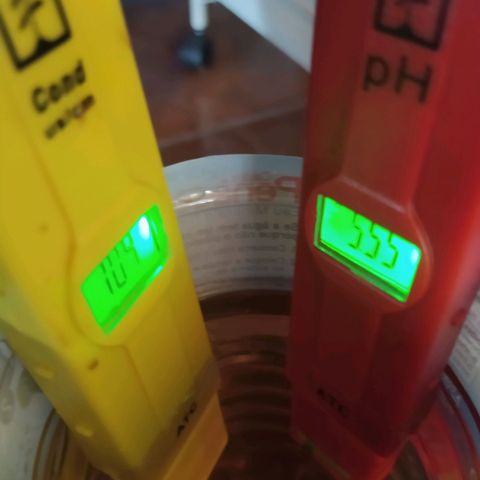 Míriã growlog timeline photo