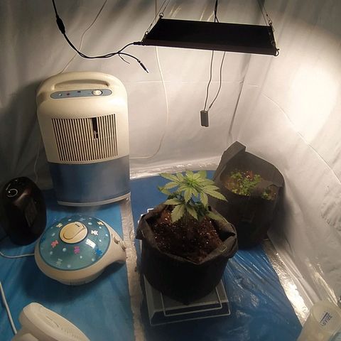 Míriã growlog timeline photo