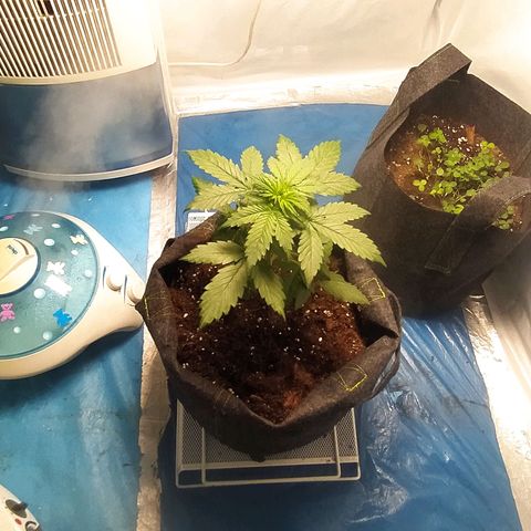 Míriã growlog timeline photo
