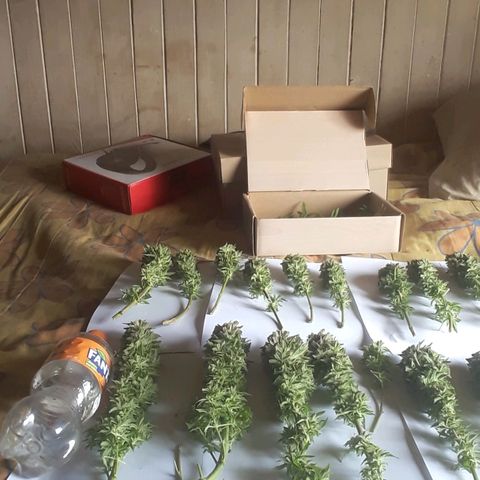 Satan's Bride growlog photo: Lo Lo que haría!!!!