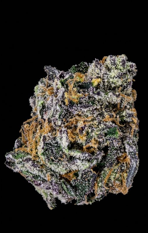 Avatar von SheepTownGenetics