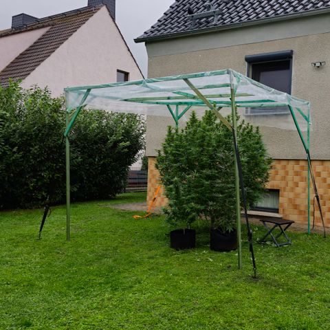 Bad queen Mangel  growlog photo: Provisorische überdachung wegen sehr viel Regen und Kälte, schimmelgefahr sehr hoch. 