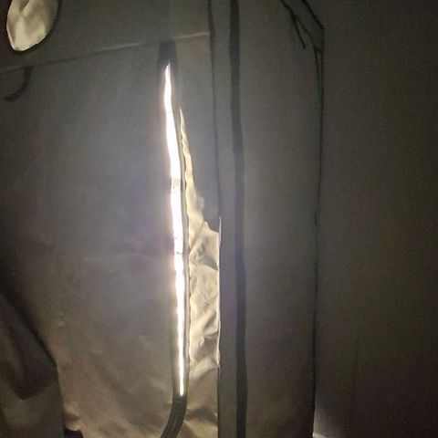 Amnésia haze growlog timeline photo