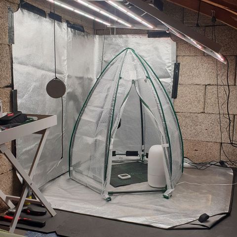 Runtz growlog photo: Änderung am Setup