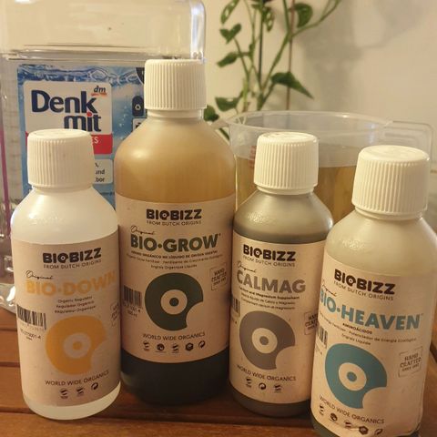 Runtz growlog photo: Düngetag