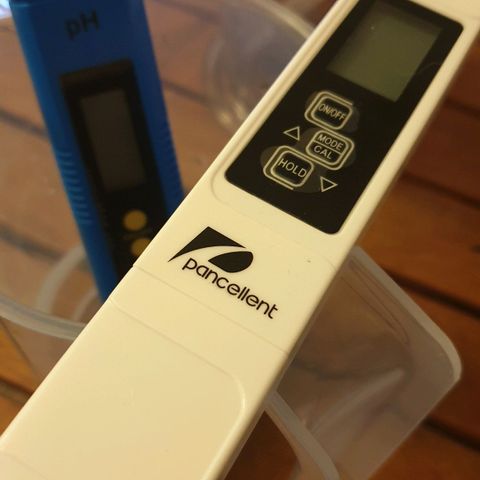 Runtz growlog photo: Düngetag