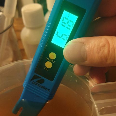Runtz growlog photo: Düngetag