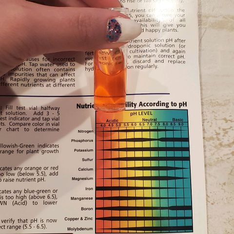 Tj OG growlog photo: Run off water PH low