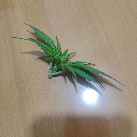 Skunk XL growlog photo: Results, 4 possibili apicali