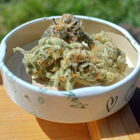 Purple Punch growlog timeline photo