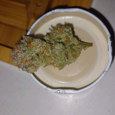 Purple Punch growlog timeline photo