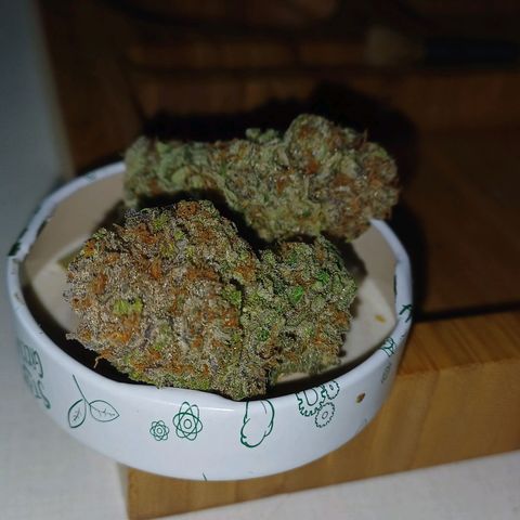 Pineapple chunk  growlog timeline photo
