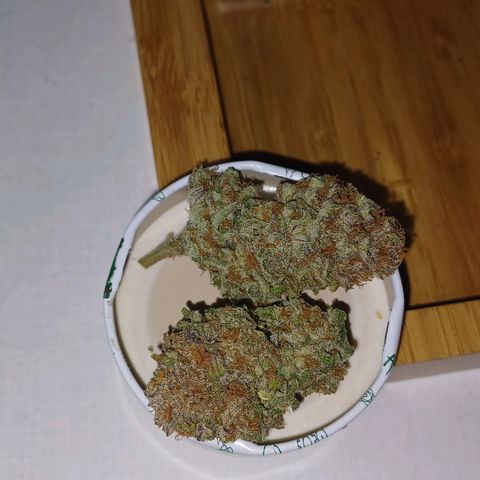 Pineapple chunk  growlog timeline photo