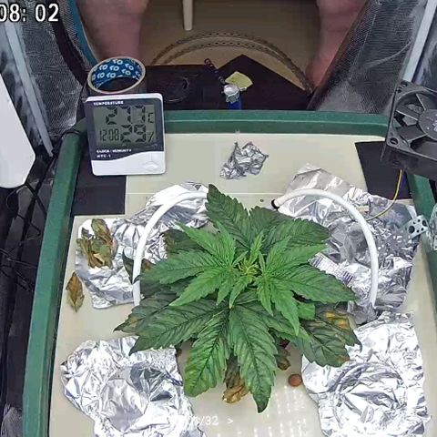 Easy Bud growlog photo: Laitettu kamera 