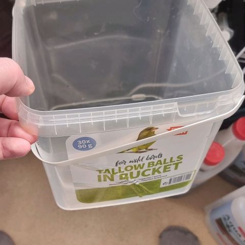 Easy Bud growlog timeline photo
