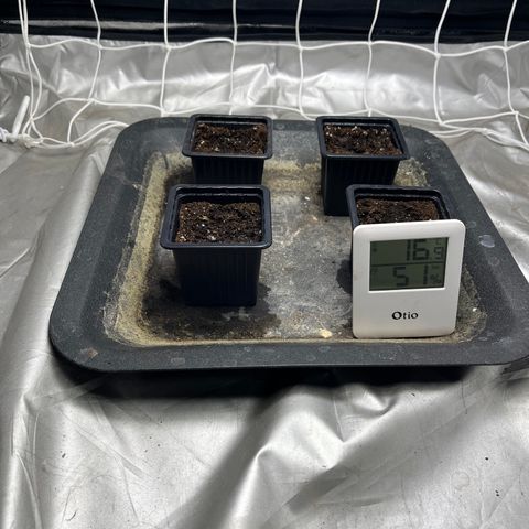Cloud Walker growlog timeline photo