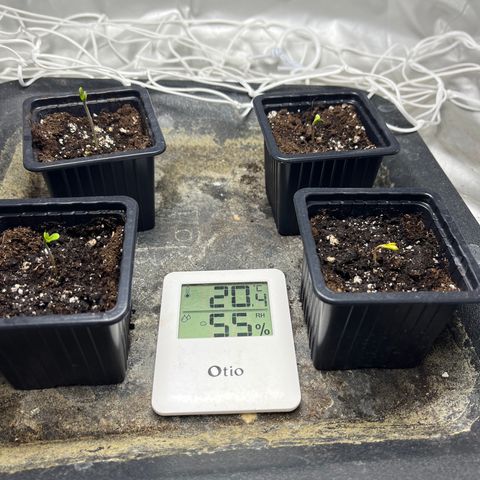 Cloud Walker growlog timeline photo