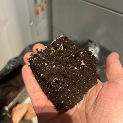 Cloud Walker growlog timeline photo