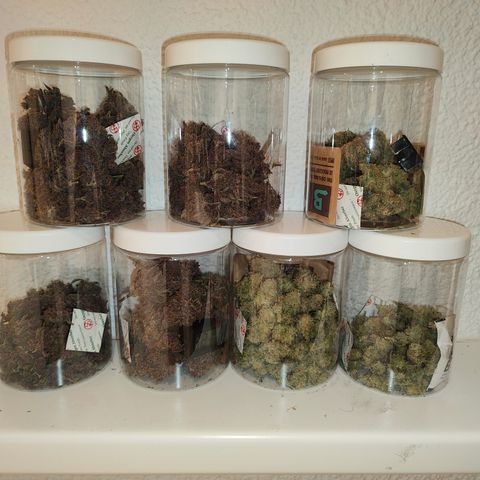 Yassi growlog timeline photo