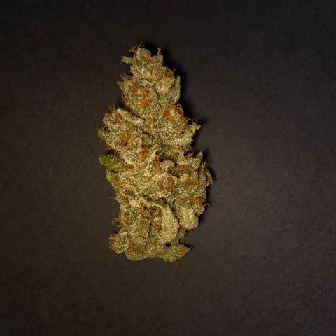 Gorilla Zkittlez Auto #1 growlog timeline photo