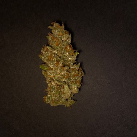 Gorilla Zkittlez Auto #1 growlog timeline photo